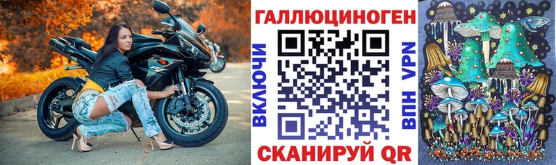 kraken как войти  Острогожск  Псилоцибиновые грибы Psilocybe  цена  